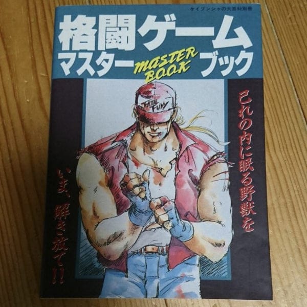 fighting game master book