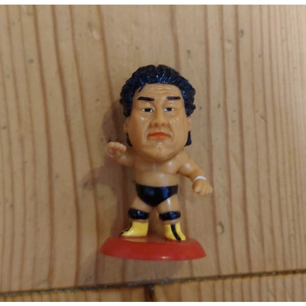 [japanese prowrestling] model figure genichiro tenryu（プロレスフィギュア　天龍源一郎）